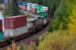 CN 3956